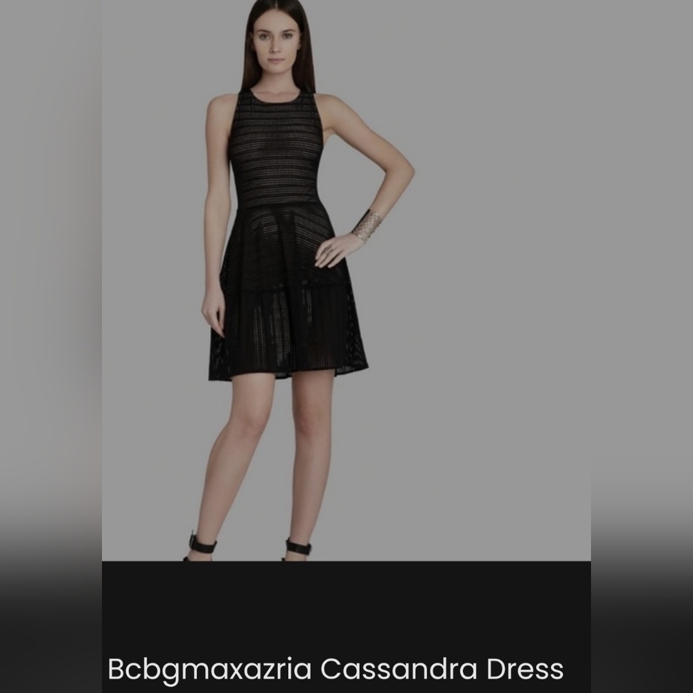 BCBG - Cassandra Dress, Black Netting, Beige slip, Sz Large